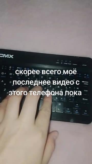 @крыска котик