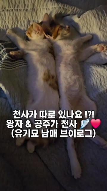 @๐ฉ์ด์์ฌ×234๐ฉ