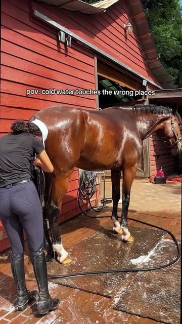@Babyhorsie
