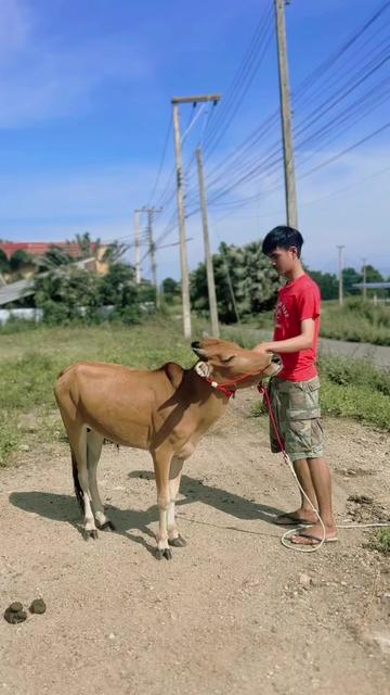 @เฟิร์น&lsquo;จิรา