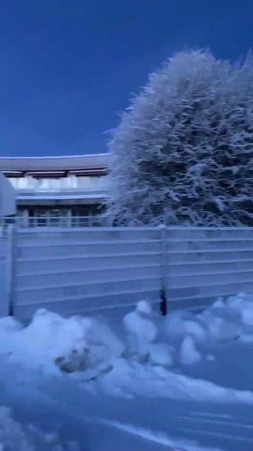 @homeinen_sammutin
