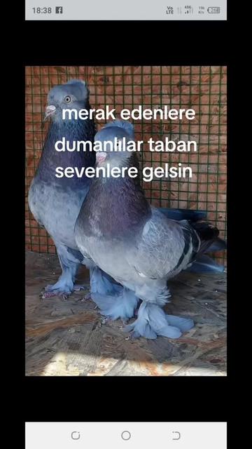 @huseyinsagir