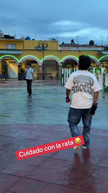 @papitochuloofcial