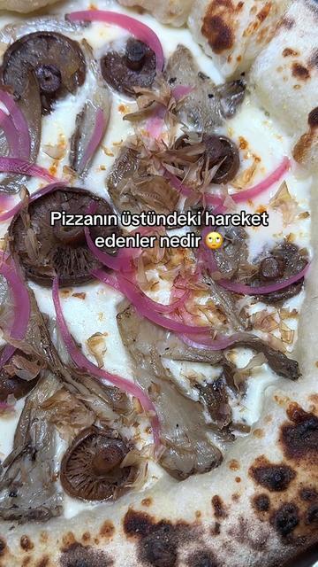 @Sosyalyiyicicahit