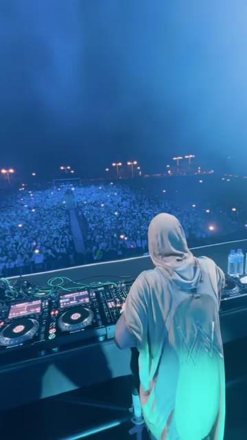 @Alan Walker Fan
