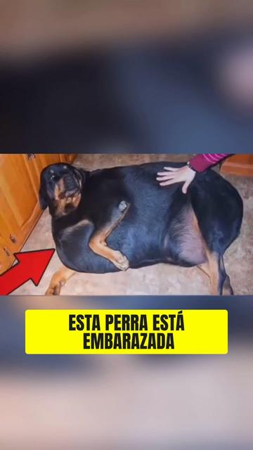 @Hist&oacute;ria_real_estrangeiro