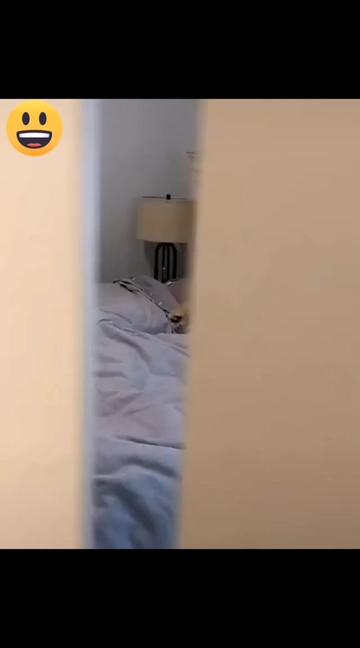 @Funny Animals World R