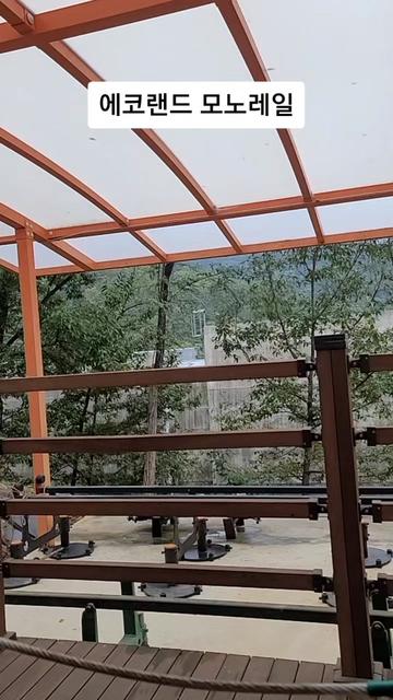 @funny션니