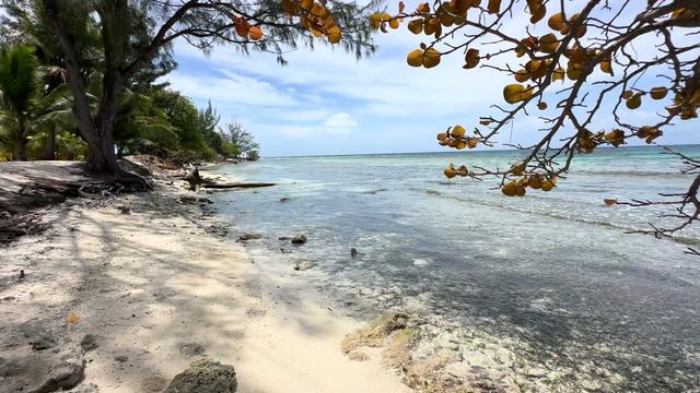 @Sunbliss Tours Utila