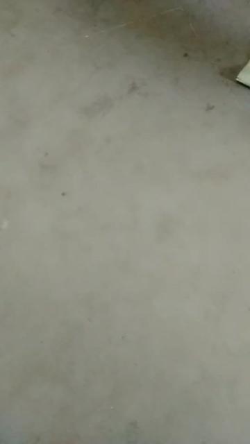 @Praveen Kumar