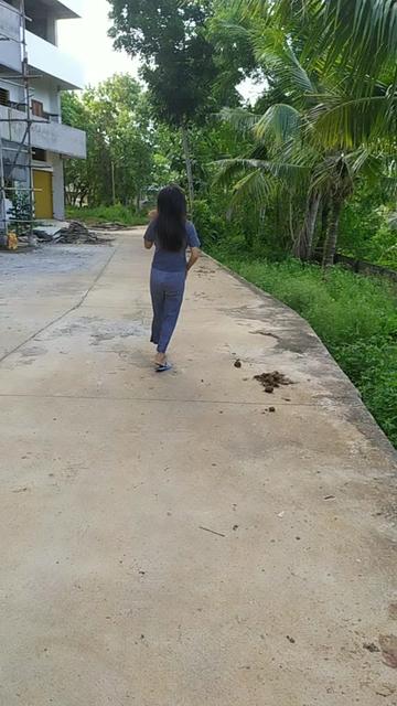 @Alibo Zhimolimi