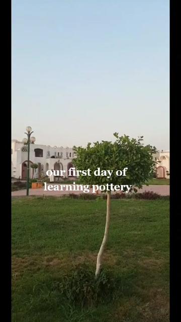 @Rehab Elnawawy