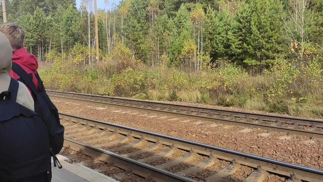 @мияга