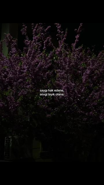 @𝓜.