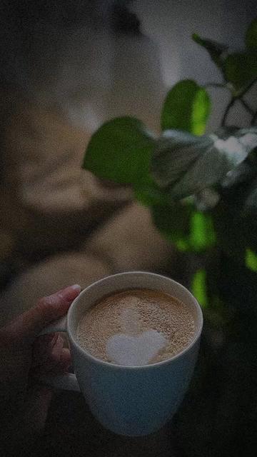 @رشا 🤍