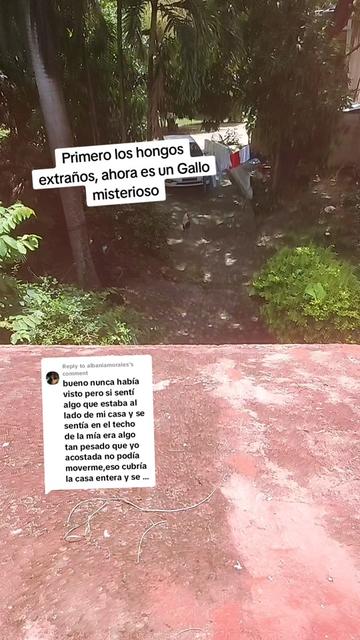 @Reliquia Dominicana