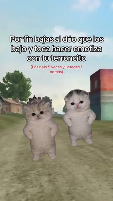 @JuarezZ