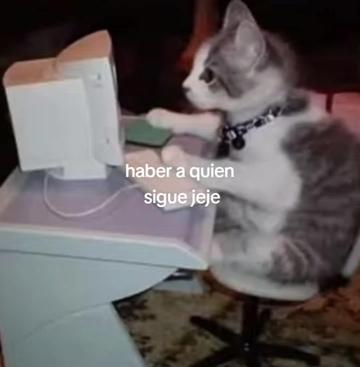 @cris ❄️