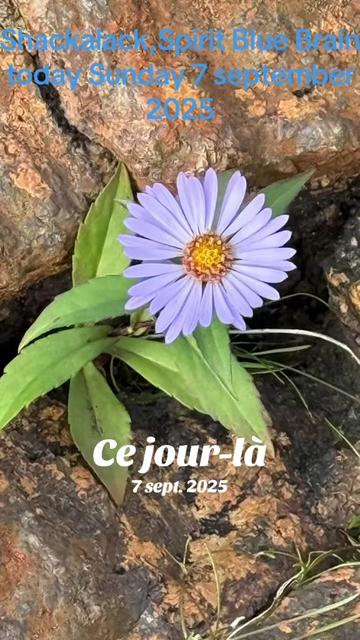@26UN55