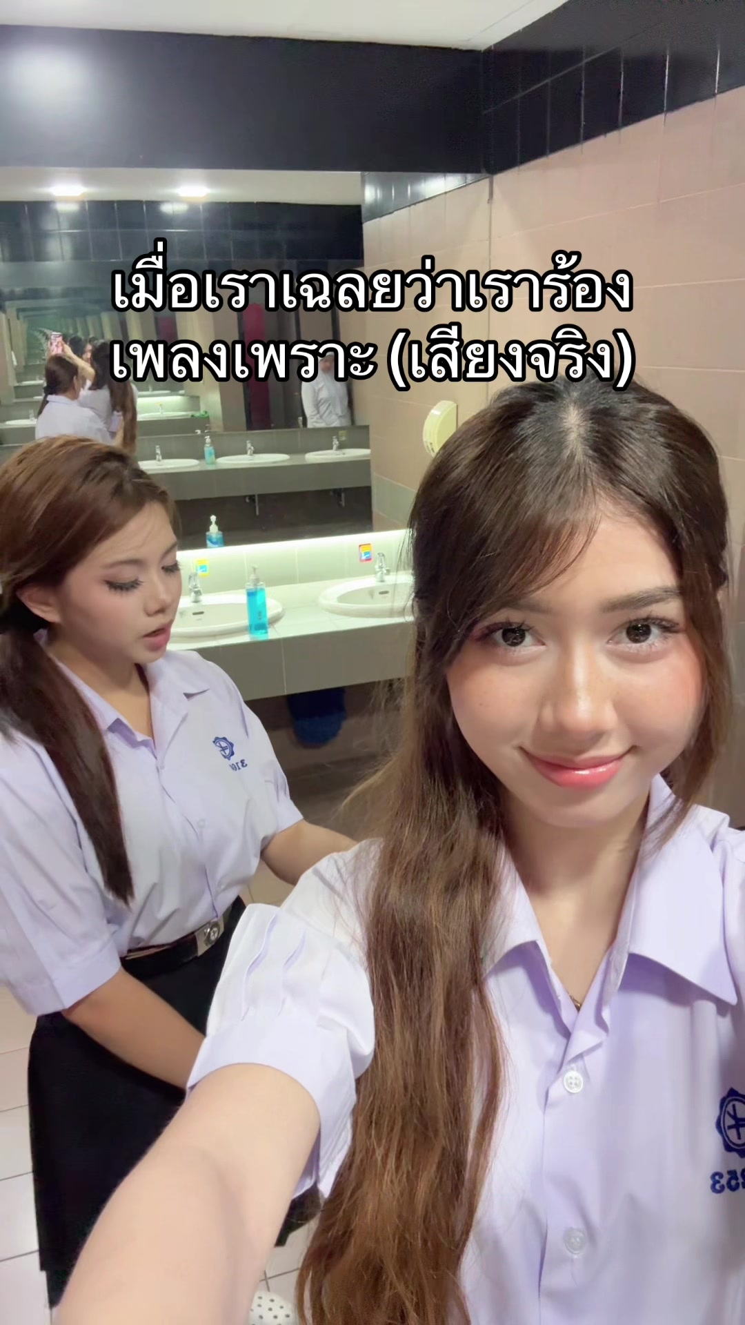@เมเปิ้ลที่ไม่ใช่ต้นไม้