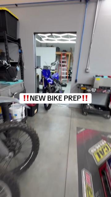 @mXrevival