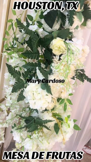 @Mary Cardoso