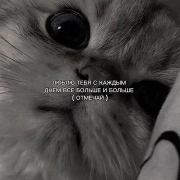 @ХХИКА
