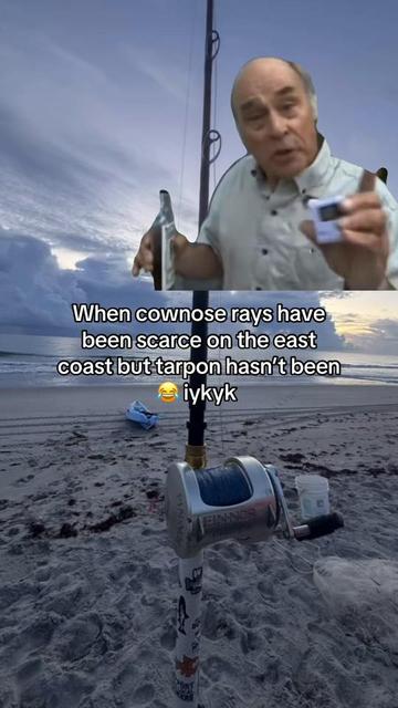 @772SHARKMAFIA