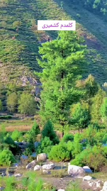 @🕊️.⋆کلمدم کشمیری.⋆👸