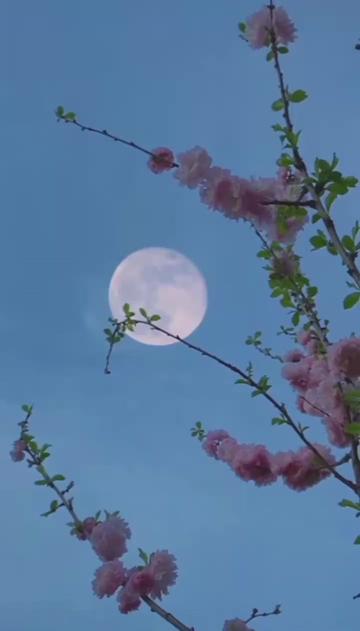 @ذكريات الزمن الجميل