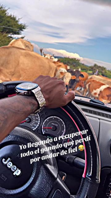 @Alan Miranda-ElJp