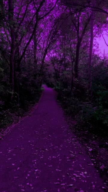 @DarkSpaces