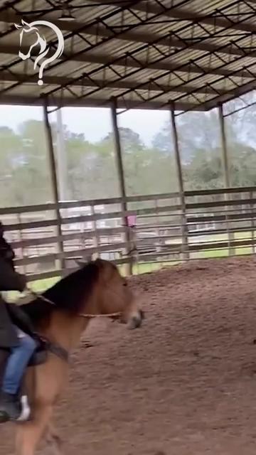 @Horse Help