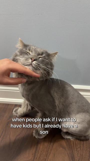 @Pookie