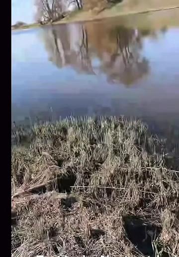 @endlessfishing