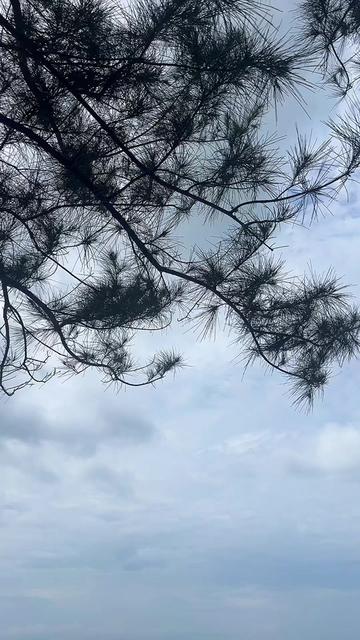 @Nông Trường olong Tằng Vĩnh An