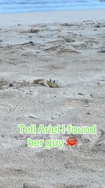 @Alifaye