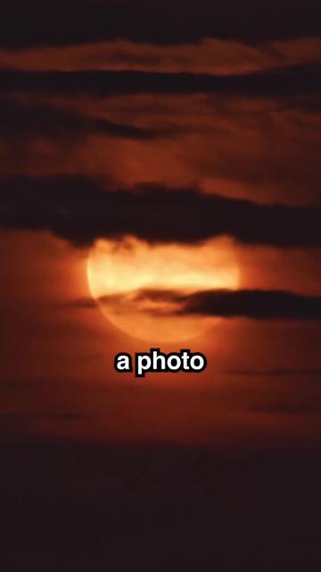 @curiousrondel