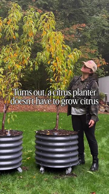 @red.ridge.roots