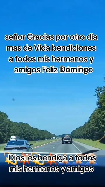@🌻TERSITA🀄🕊deAKi*🐺