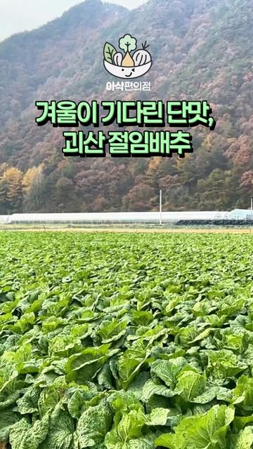@아삭-괴산절임배추