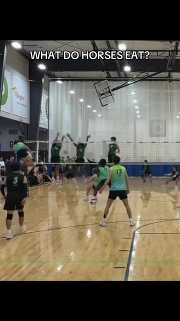 @TysonVb