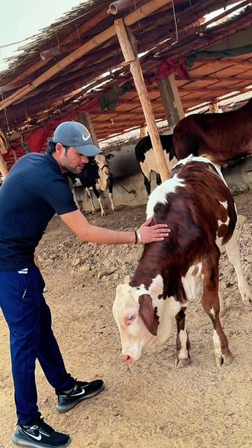 @Karachi Bull lovers