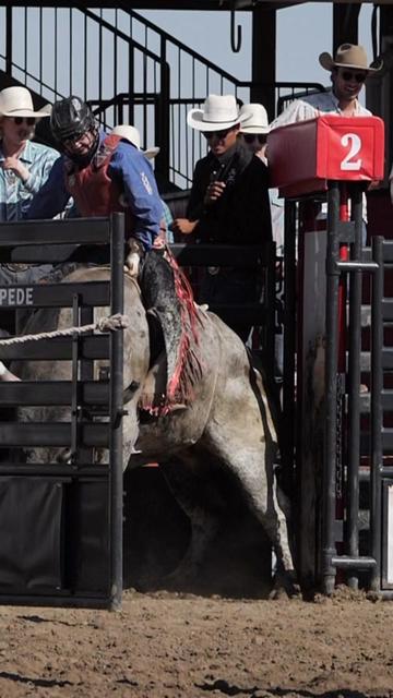 @Lazy P Rodeo