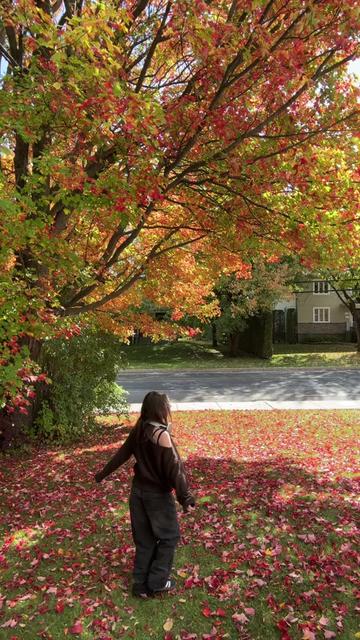@E🍂