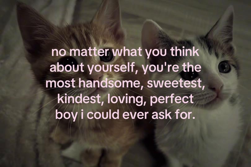 @sxalenz