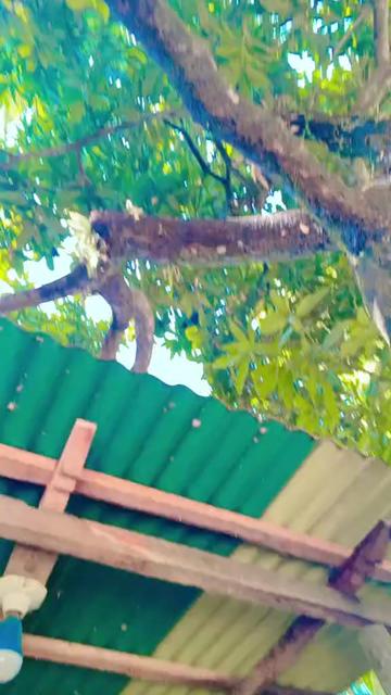 @কষ্টের জীবন আমার😭😭