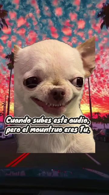 @Djchucky Chan
