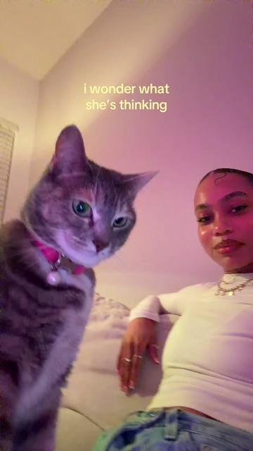 @tashjane