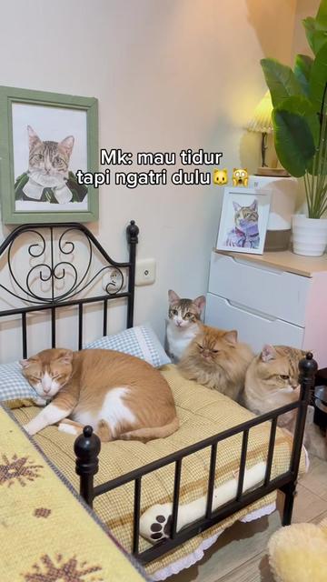 @drh. Ricky Halim dan Sashi